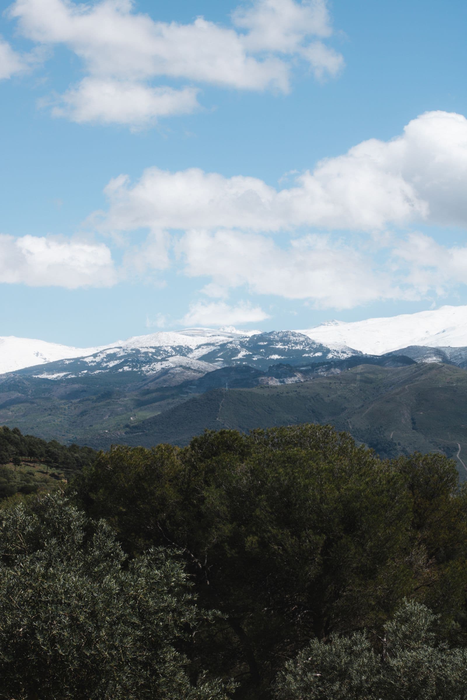 ¿Qué hacer en Granada en verano? 7 planes para vivir la ciudad de verdad — Escaparse a Sierra Nevada (el refugio de alta montaña)